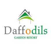 daffodils-vagamon